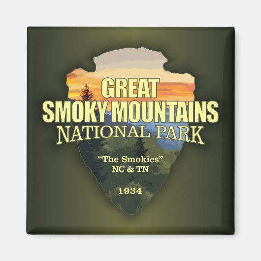 GSMNP （矢印） マグネット (正面)