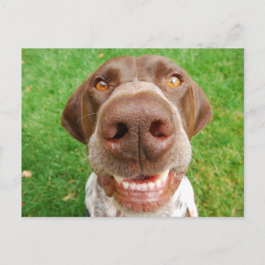 GSPスマイルはがき ポストカード (正面)