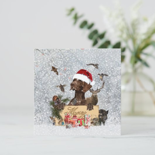 Gsp、犬のクリスマス (スタンド正面)