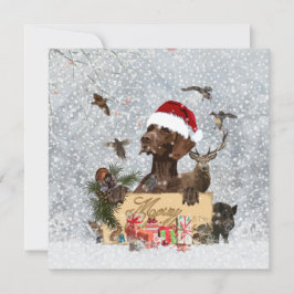 Gsp、犬のクリスマス