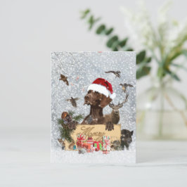 Gsp、犬のクリスマス ポストカード