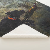 GSP 、狩りキジ シェルパブランケット (3/4)