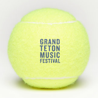GTMFペン選手権テニスボール テニスボール