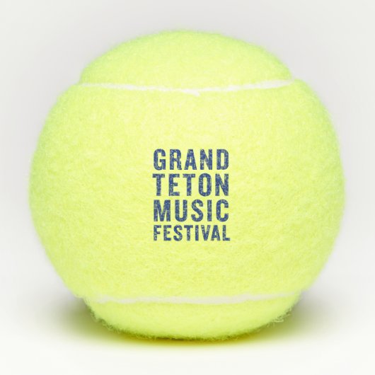 GTMFペン選手権テニスボール テニスボール (正面)