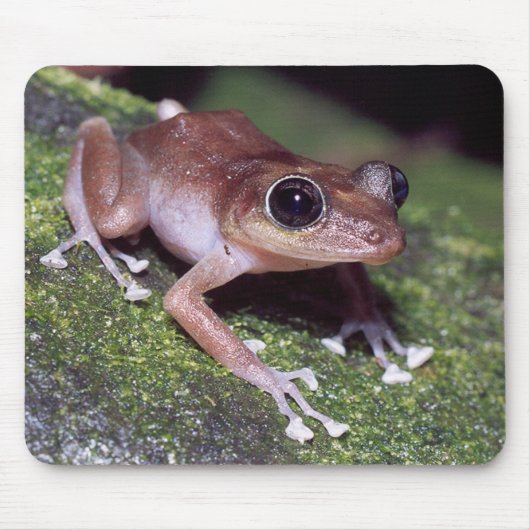 Guajon マウスパッド (正面)