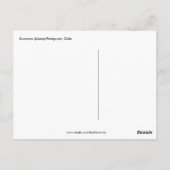 Guanaco Llama, Patagonia，チリのポストカード ポストカード (裏面)