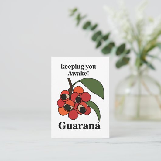 Guarana Fruit Plant Botanical 名刺 (スタンド正面)