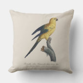 Guarouba dans sons jeune age / Sun parakeet クッション (正面)