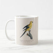 Guarouba dans sons jeune age / Sun parakeet コーヒーマグカップ (左)