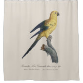 Guarouba dans sons jeune age / Sun parakeet シャワーカーテン (正面)