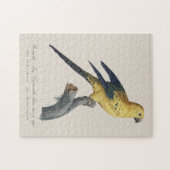 Guarouba dans sons jeune age / Sun parakeet ジグソーパズル (横)