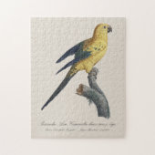 Guarouba dans sons jeune age / Sun parakeet ジグソーパズル (縦)