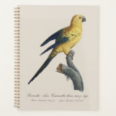 Guarouba dans sons jeune age / Sun parakeet プランナー手帳 (正面)