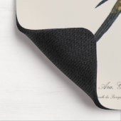 Guarouba dans sons jeune age / Sun parakeet マウスパッド (コーナー)