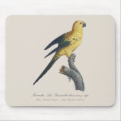 Guarouba dans sons jeune age / Sun parakeet マウスパッド (正面)