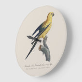 Guarouba dans sons jeune age / Sun parakeet ラージ壁時計 (傾斜)