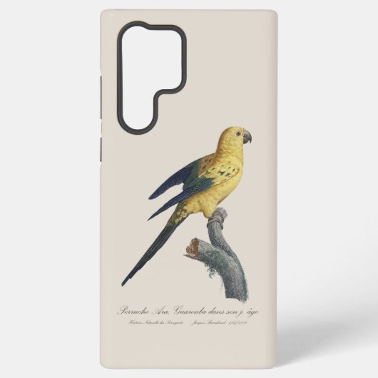 Guarouba dans sons jeune age / Sun parakeet Samsung Galaxyケース (裏面)