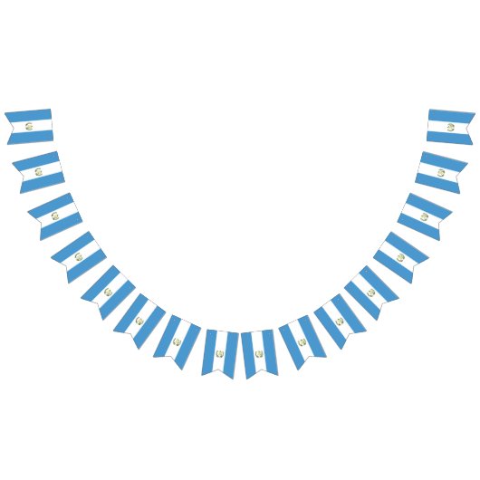 Guatemala flag  バンティングフラッグ (全)