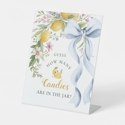 Guess How Many Candies Main Squeeze Bridal Shower 台座サイン (正面)