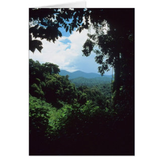 GUIANA:フランスの熱帯雨林の景色