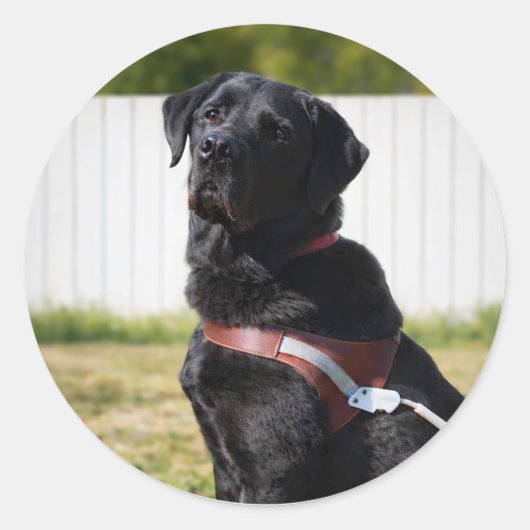 Guide Dog Envelope Seal – Black LabradorWisdom ラウンドシール (正面)