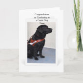 Guide Dog Graduation Congratulations Card カード (正面)