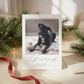 Guilty But Adorable | かわいい犬の写真 クリスマス
