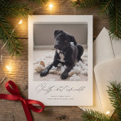 Guilty But Adorable | かわいい犬の写真 クリスマス