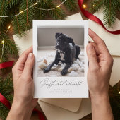 Guilty But Adorable | かわいい犬の写真 クリスマス