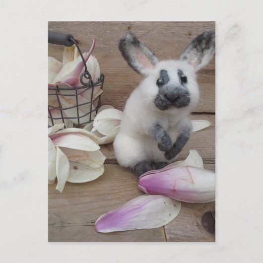 Guilty rabbit ポストカード (正面)