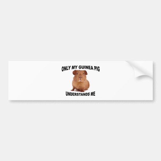 GUINEA.jpg バンパーステッカー (正面)
