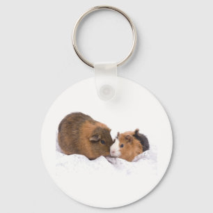 guinea pig キーホルダー