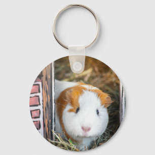 Guinea pig キーホルダー