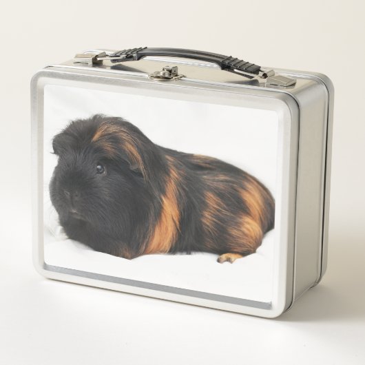 Guinea Pig メタルランチボックス (正面)
