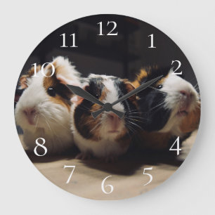 Guinea pig ラージ壁時計