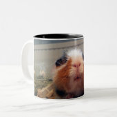 Guinea pig kiss mug ツートーンマグカップ (正面左)
