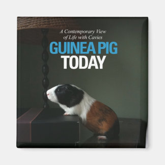 Guinea Pig Todayフォトマグネット マグネット