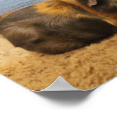 Guinea Pig Under Palm Treeポスター ポスター (角)