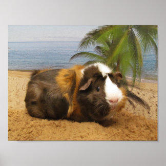 Guinea Pig Under Palm Treeポスター ポスター