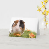 guinea pigs on a lawn カード (黄色い花)