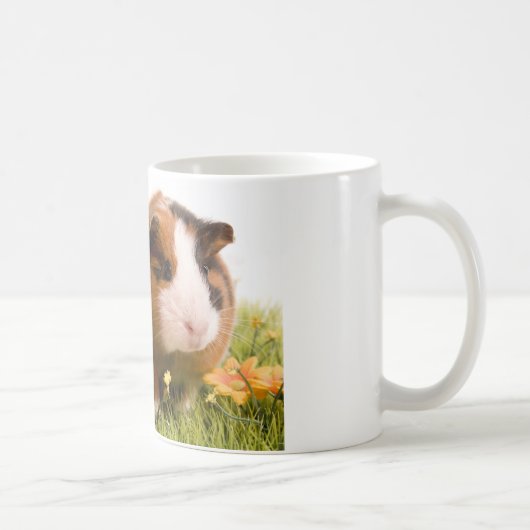 guinea pigs on a lawn コーヒーマグカップ (右)