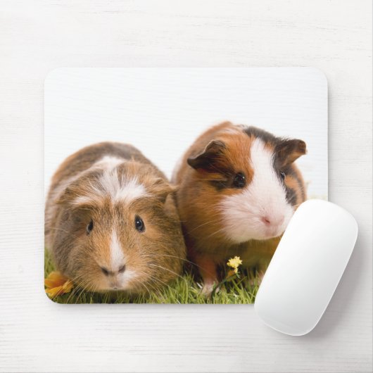 guinea pigs on a lawn マウスパッド (マウス)