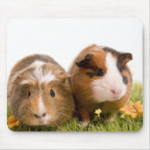guinea pigs on a lawn マウスパッド (正面)
