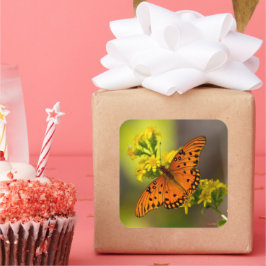 Gulf Fritillary aka Passion Butterfly on Goldenrod スクエアシール