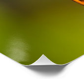 Gulf Fritillary aka Passion Butterfly on Goldenrod ポスター (コーナー)