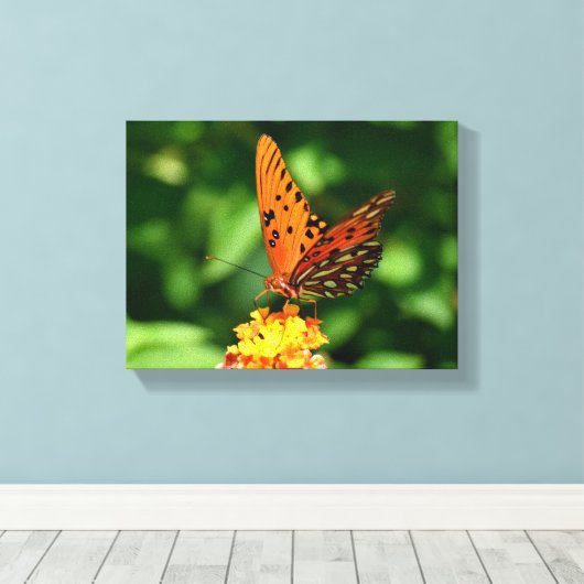 Gulf fritillary Butterfly Stretched Canvas Print キャンバスプリント (インサイチュ (ウッドフロア))