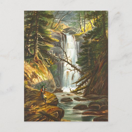 Gulf Waterfall, Vermont, Vintage Postcard ポストカード (正面)