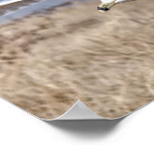 Gull in Flight ポスター (角)