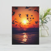 Gulls at Sunset Photo Orange and Black 結婚's 招待状 (スタンド正面)