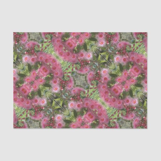 Gumnutのピンクのユーカリによってはオーストラリアの先住民が開花します 薄葉紙 (正面)